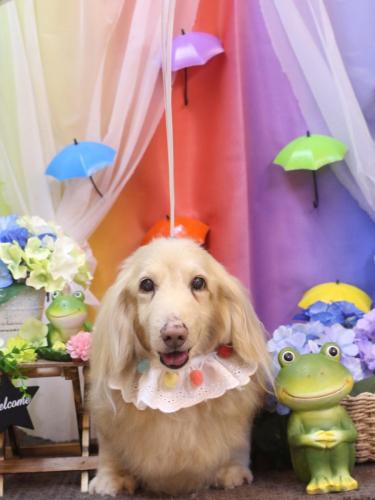 20230615ハクくん